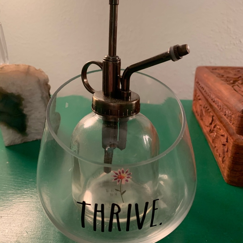 Rae Dunn Planter and Spritzer Set